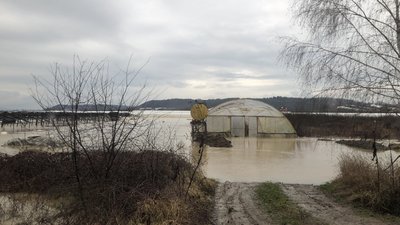 Дорогу місцевого значення "Великі Комяти-Шаланки підтопило на Закарпатті внаслідок негоди