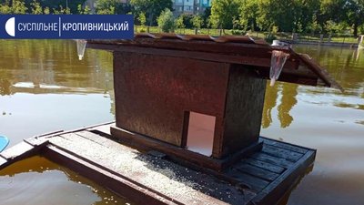 Кропивничанин змайстрував будинок для родини качок Кропивничанин змайстрував будинок для родини качок