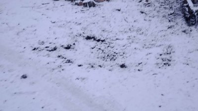 Вторгнення Росії в Україну: головні події на Сумщині 42 тижня війни Вторгнення Росії в Україну: головні події на Сумщині 42 тижня війни