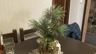 Харків пошкоджені будинки 30 грудня Харків пошкоджені будинки 30 грудня