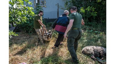 Курбан байрам в останній неокупованій мечеті на Донбасі Курбан байрам в останній неокупованій мечеті на Донбасі