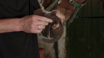 "Люблю-люблю цих коней": 45 років розчищає та підковує копита майстер з Рівненщини "Люблю-люблю цих коней": 45 років розчищає та підковує копита майстер з Рівненщини