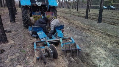На Луганщині у максимально короткі строки планують відновити згорілий ліс На Луганщині у максимально короткі строки планують відновити згорілий ліс