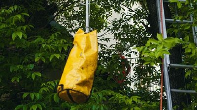 Львівські рятувальники зняли з дерева кота літньої жінки. Фоторепортаж Львівські рятувальники зняли з дерева кота літньої жінки. Фоторепортаж