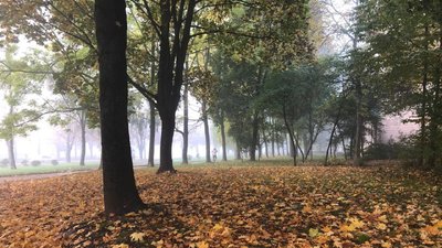 Помірно тепло і без заморозків: яку погоду прогнозують на Рівненщині до кінця першої декади листопада