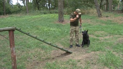 Кінолог з вівчаркою Вумою Кінолог з вівчаркою Вумою