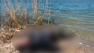 На Миколаївщині в акваторії лиману виявили тіло загиблої жінки