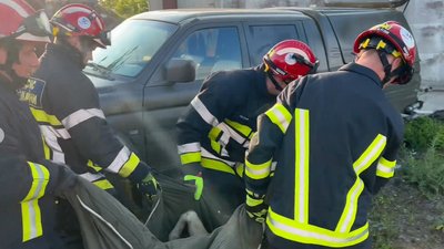 Під Житомиром врятували тварину, яка місяць пролежала затиснутою між бетонними плитами Під Житомиром врятували тварину, яка місяць пролежала затиснутою між бетонними плитами