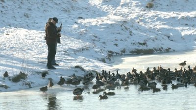 "Я йду на річку, а не в аптеку": як у Луцьку моржують "Я йду на річку, а не в аптеку": як у Луцьку моржують