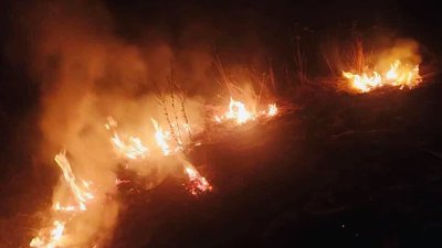 На Львівщині від початку року виникло близько 200 пожеж у екосистемах. Чим це загрожує На Львівщині від початку року виникло близько 200 пожеж у екосистемах. Чим це загрожує