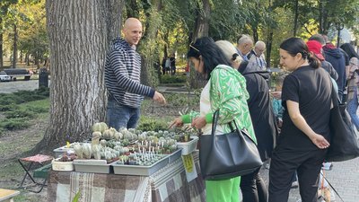 Дніпру виповнюється 247 років: як дніпряни святкують День міста Дніпру виповнюється 247 років: як дніпряни святкують День міста