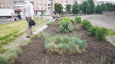 У місті на Рівненщині невідомі викрали понад сотню кущів троянд та поламали саджанці У місті на Рівненщині невідомі викрали понад сотню кущів троянд та поламали саджанці