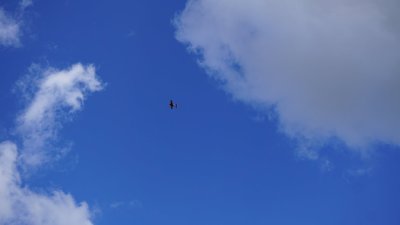 На Харківщині у День перемоги запустили в небо літак На Харківщині у День перемоги запустили в небо літак
