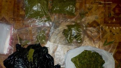 На Миколаївщині чоловік вирощував коноплі та зберігав канабіс На Миколаївщині чоловік вирощував коноплі та зберігав канабіс