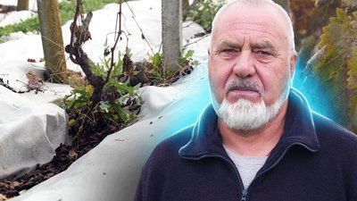 Колаж Суспільне Миколаїв
