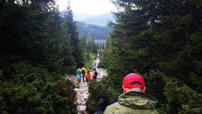 Прикарпатські рятувальники допомогли 26 туристам із Сумщини зійти з Говерли