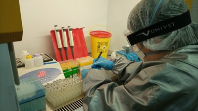 3,5 тисячі ПЛР-тестів на місяць: біозразки досліджують у Центрі громадського здоров’я Закарпаття