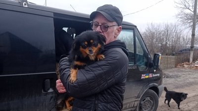 Евакуйовані з прифронтового Таврійського Запорізької області собаки 