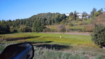 На Житомирщині на місці знахідки "Городницького скарбу" археологи відкопали невідоме місто На Житомирщині на місці знахідки "Городницького скарбу" археологи відкопали невідоме місто
