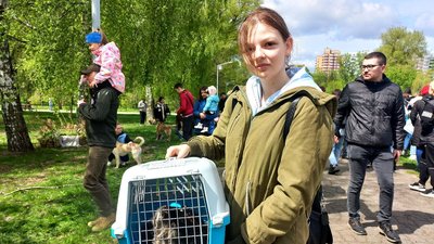 У Сумах відбувся фестиваль "Друг із притулку" У Сумах відбувся фестиваль "Друг із притулку"