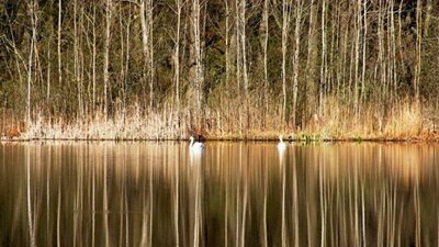 Книжки, наука та фотографія. Про захоплення дитини з Кропивницького Глєба Цуканова Книжки, наука та фотографія. Про захоплення дитини з Кропивницького Глєба Цуканова