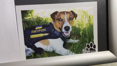 У Тернополі погасили марку "Пес Патрон" У Тернополі погасили марку "Пес Патрон"