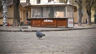 Центр Одеси під час війни. Фоторепортаж Центр Одеси під час війни. Фоторепортаж