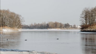 У Черкасах під кригу провалилися двоє рибалок