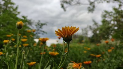 Погода на Вінниччині