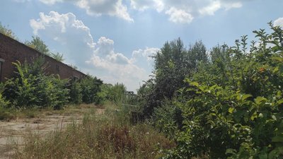 "Мати не вірить, що син це зробив": у Старому Салтові розповіли, як шукали зниклу дитину "Мати не вірить, що син це зробив": у Старому Салтові розповіли, як шукали зниклу дитину