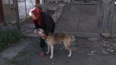 Село Корчунок на Франківщині: 15 років самотності