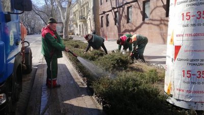 На одеських клумбах висадять 185 тисяч квітів На одеських клумбах висадять 185 тисяч квітів