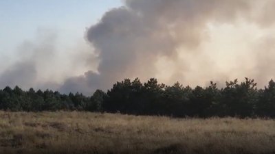 Танки, літаки та гелікоптери: на Херсонщині ДСНС та ЗСУ гасять масштабну пожежу