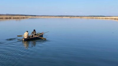 На водоймах Миколаївщини встановлюють штучні нерестовища