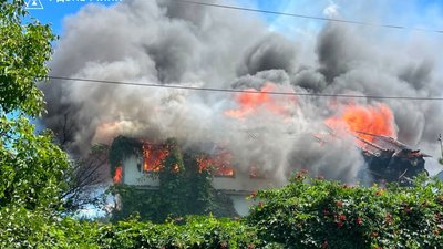 Пожежі на окупованій Луганщині: за добу вогонь знищив понад 124 гектари
