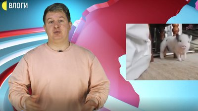 Порося Монатік, каченята та "охрана-отмєна". Фейк ньюз#1. СУСПІЛЬНЕ | ВЛОГИ