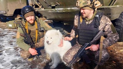 У бригаді Луганської ТрО служить бойовий пес на прізвисько Хаммєр