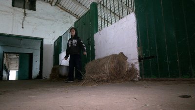 На Рівненщину евакуйовують коней. Хто та як ними опікується На Рівненщину евакуйовують коней. Хто та як ними опікується