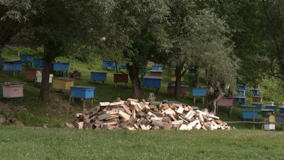 У Вашківецькій громаді планують вироблять деревне вугілля, мешканці проти У Вашківецькій громаді планують вироблять деревне вугілля, мешканці проти