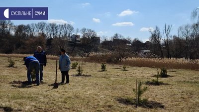У Сумах біля озера Чеха озеленюють територію (ФОТО) У Сумах біля озера Чеха озеленюють територію (ФОТО)
