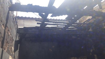 В Одесі під час пожежі в притулку для тварин врятували 40 котів та 350 собак