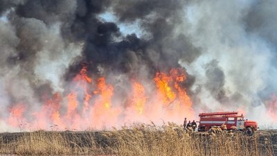 Дніпропетровщина: надзвичайники локалізували лісову пожежу більш ніж на 32 гектарах Дніпропетровщина: надзвичайники локалізували лісову пожежу більш ніж на 32 гектарах
