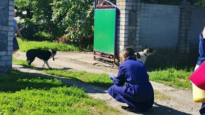 На Полтавщині через випадок сказу до карантинної зони внесли вісім сіл На Полтавщині через випадок сказу до карантинної зони внесли вісім сіл