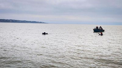 Дністровський лиман