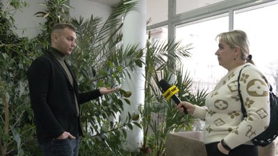 закон, мобілізація, ухилянти, адвокат