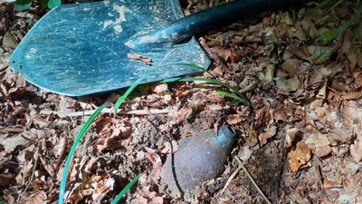 Боєприпас часів Другої світової війни виявили та знешкодили на Ужгородщині