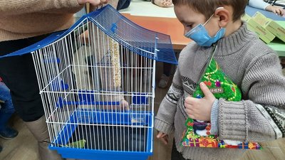 "Олені Святого Миколая": діти з прифронтової зони отримали понад 1200 подарунків "Олені Святого Миколая": діти з прифронтової зони отримали понад 1200 подарунків