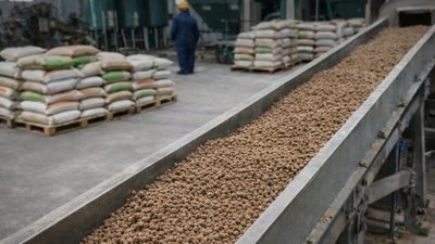 На Полтавщині судитимуть директора підприємства за несплату майже 5 мільйонів податків
