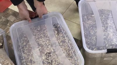 На Житомирщині виявили групу людей, які займалися незаконним видобуванням бурштину На Житомирщині виявили групу людей, які займалися незаконним видобуванням бурштину