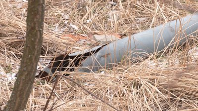 село норцівка. 9 місяців без світла: як живе село під Балаклією село норцівка. 9 місяців без світла: як живе село під Балаклією